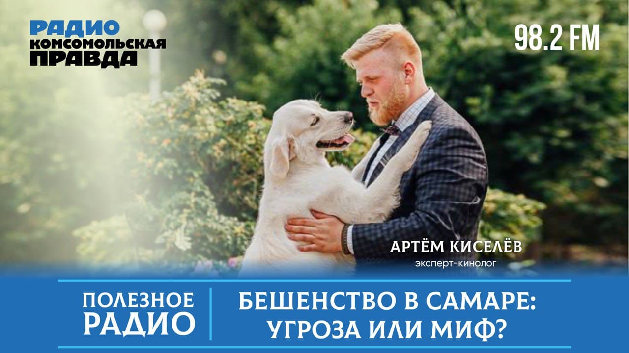 Бешенство в Самаре: реальная угроза или миф?