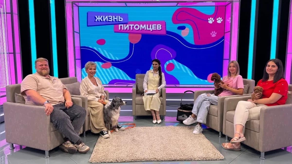 Полезный эфир «Россия 24» о жизни с собакой в городе